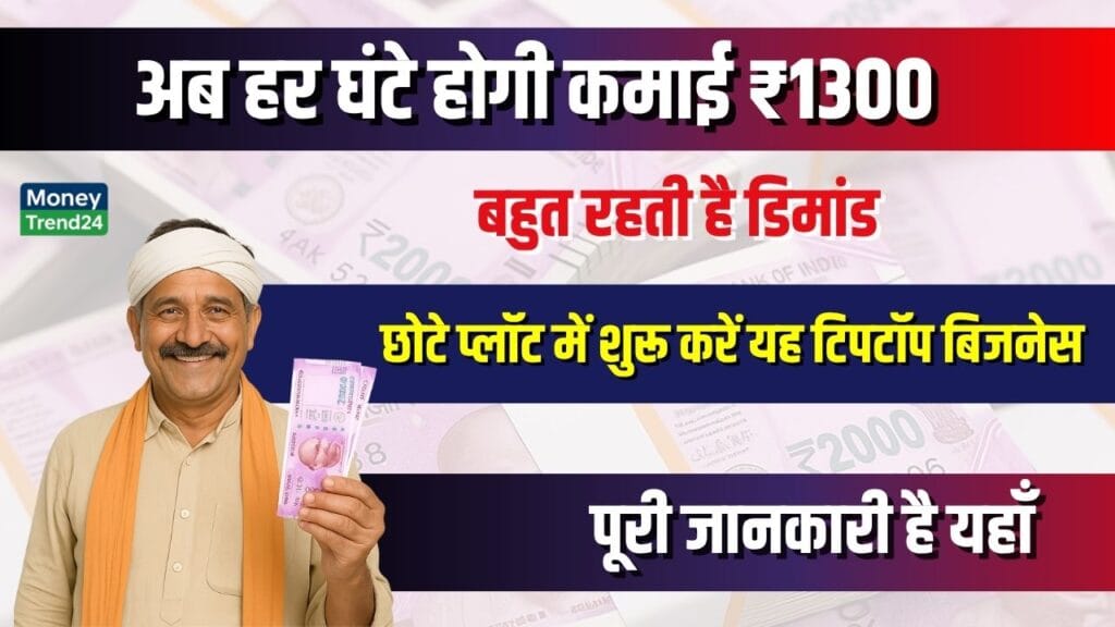 Business Idea: सिर्फ 3 घंटा काम करके रोज ₹4000 कमाई, घर या प्लॉट में शुरू करें यह टिपटॉप बिजनेस