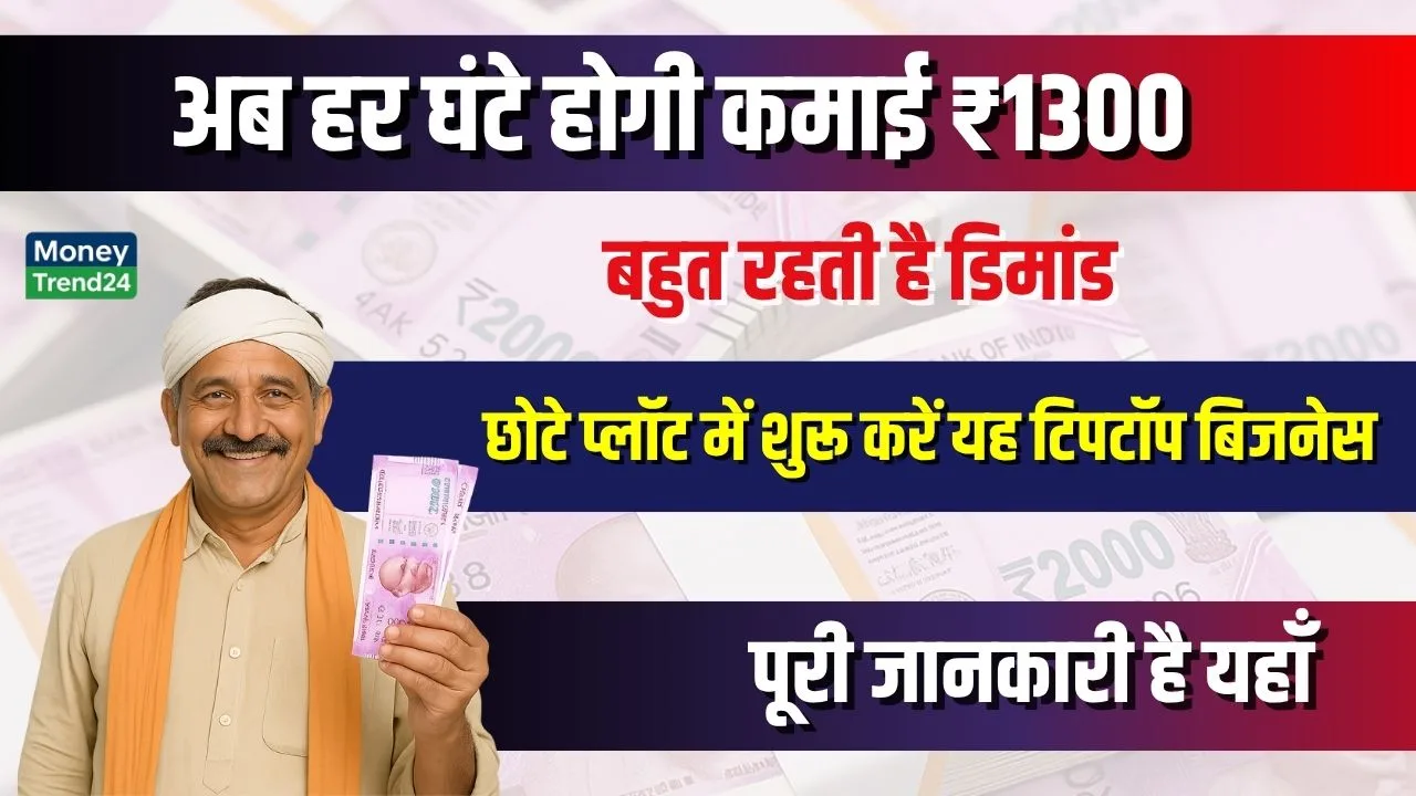 Business Idea: सिर्फ 3 घंटा काम करके रोज ₹4000 कमाई, घर या प्लॉट में शुरू करें यह टिपटॉप बिजनेस