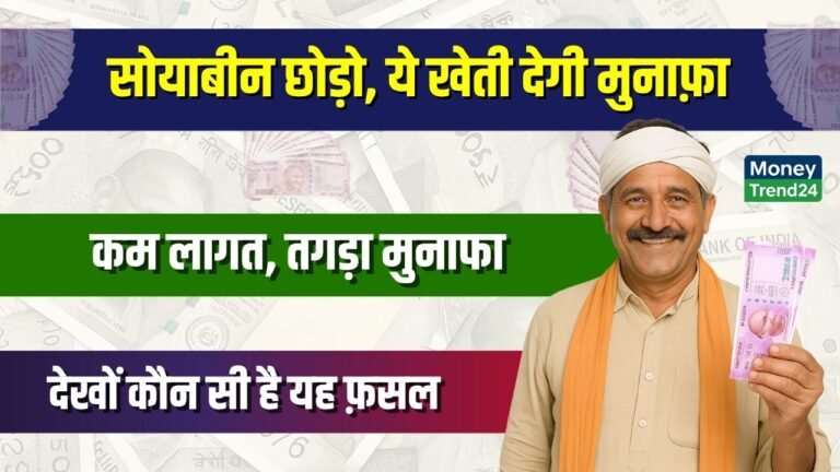Village Business Idea: सोयबीन की खेती को जाओगे भूल - यह फ़सल दे रही बंपर मुनाफ़ा - लागत भी कम